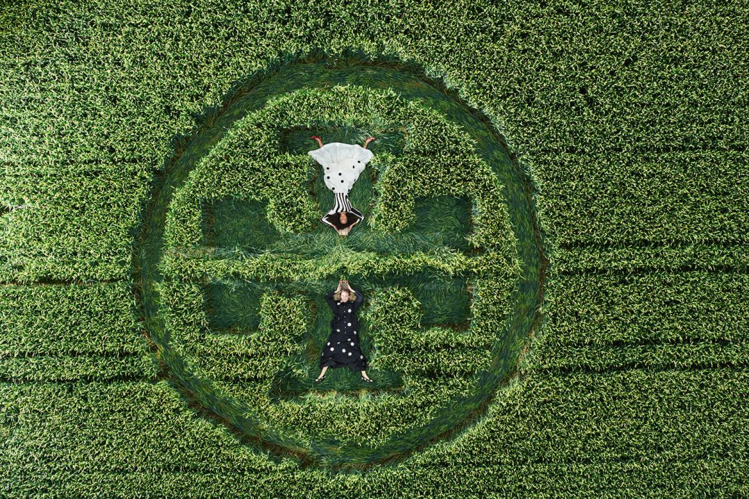 Tory Daily - HO21 Campaign C1